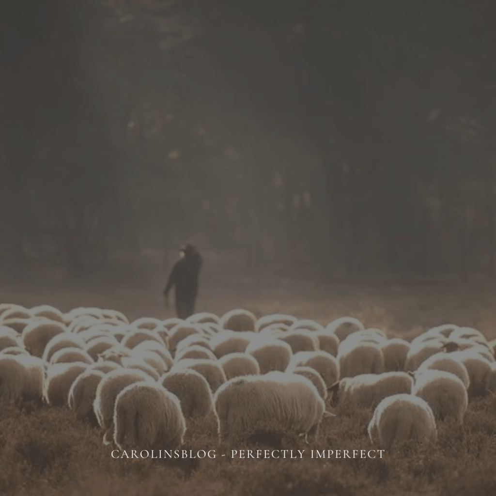 Jesus ist der Gute&nbsp;Hirte